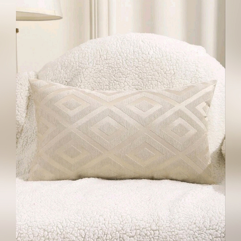 2 Pillow Covers 20x12"